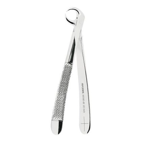 ASAlady Extracting FORCEPS lower molars