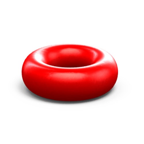Clinical O-Ring Silicone Pack of 12