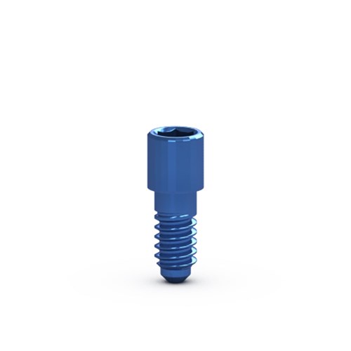 FlatOne Angled Abutment Retaining Screw SAS ONLY