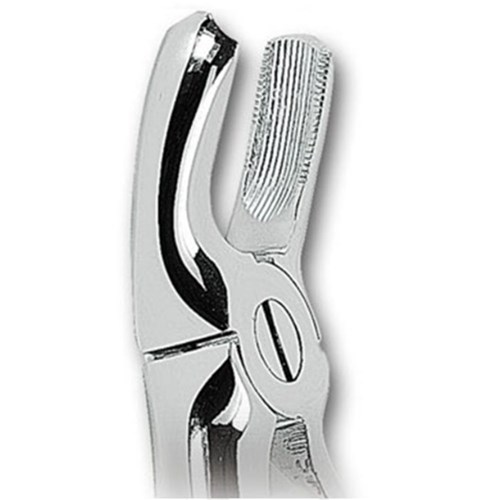 ASA UPPER LEFT & UPPER RIGHT MOLAR FORCEPS