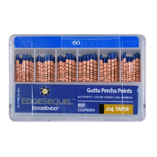 EdgeSEQUEL GP 04 Taper Size 60 Pack of 60