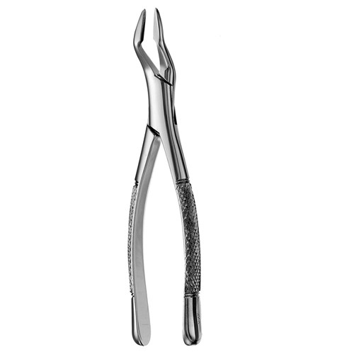 FORCEPS Parmly Alevolar #32A Upp Canines Premolars & Molars