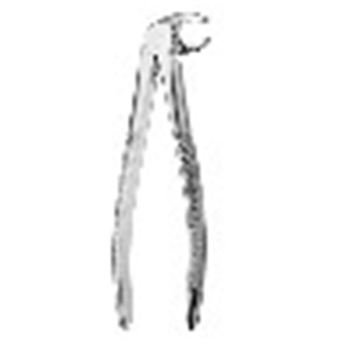 FORCEPS Mead Serrated #MD4 Lower 1st, 2nd & 3rd Molars