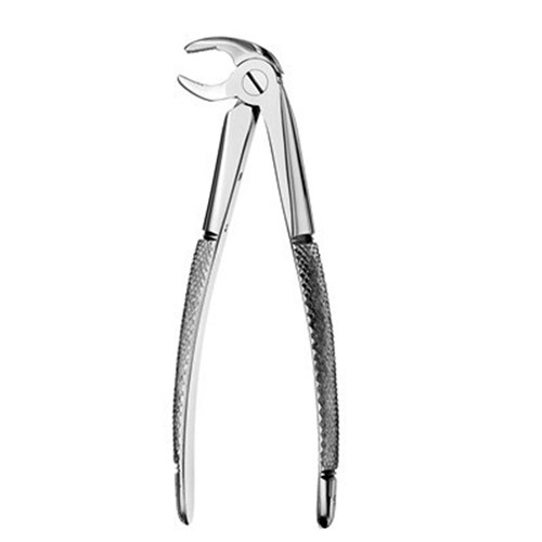 FORCEPS European Style #13 Serrated Lower Premolars