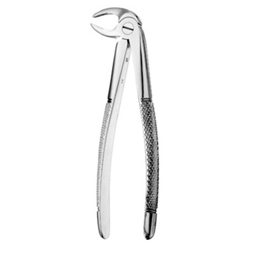 FORCEPS European Style #33 Serrated Lower Roots