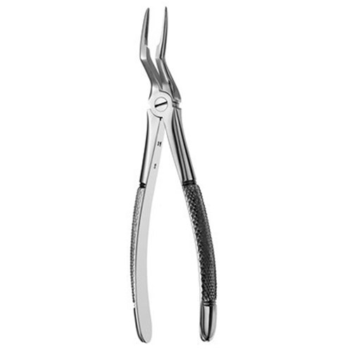 FORCEPS European Style #97 Serrated Upper Roots