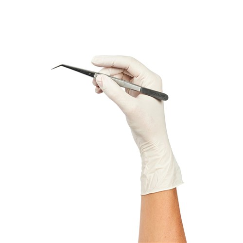DE Gloves - Latex - Non Sterile - Powder Free - Large, 200-Pack