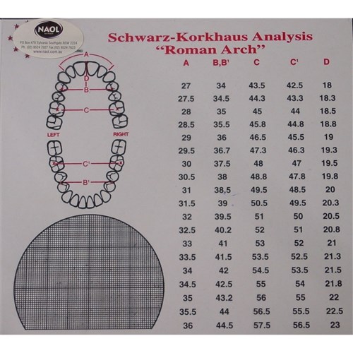 NAOL Schwarz Korkhaus Analysis