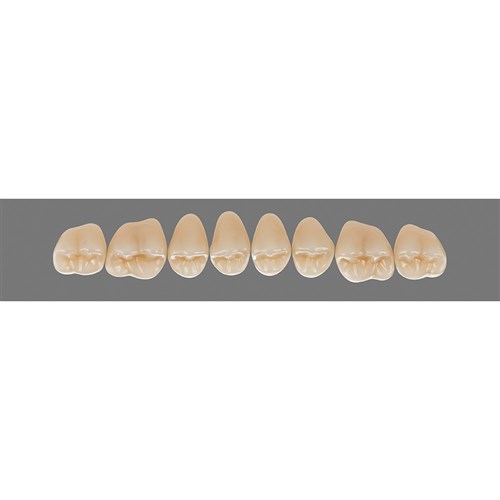 2R15 Upper 44CU Cuspiform