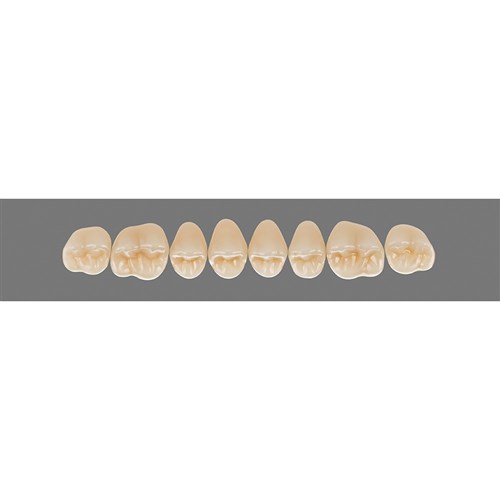 3M2 Upper 43CU Cuspiform