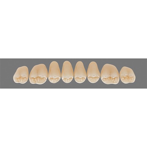 4R15 Upper 45CU Cuspiform