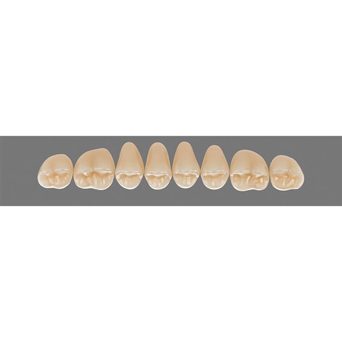 4R25 Upper 42CU Cuspiform