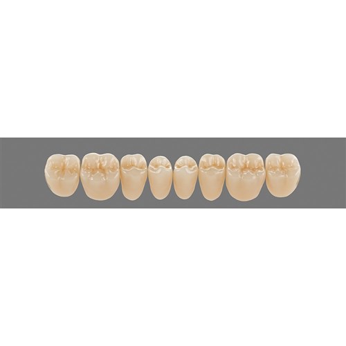 Lower 21 2M2 A2 Lingoform Teeth 3D