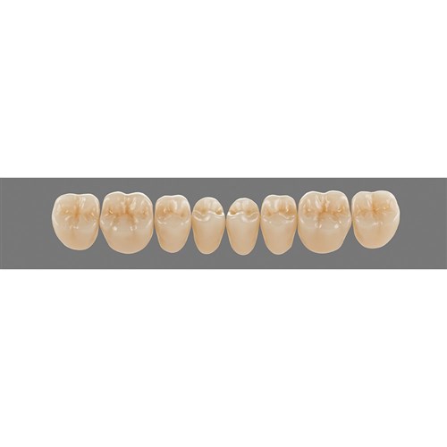 Lower 22 3M2 A3 D3 Lingoform Teeth 3D