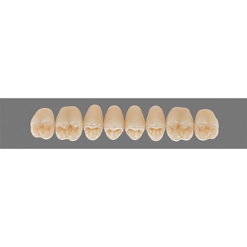 Upper 22 3M2 A3 D3 Lingoform Teeth 3D