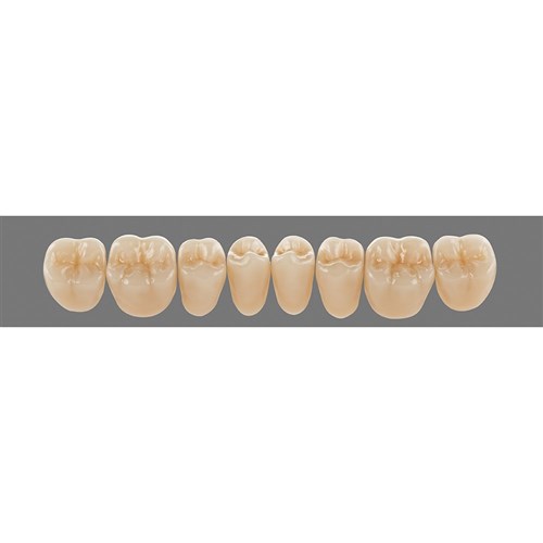 Lower 23 3M2 A3 D3 Lingoform Teeth 3D