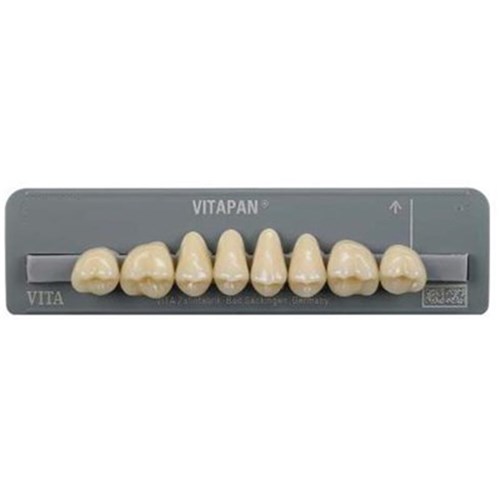 Upper   A2 41C Cuspiform