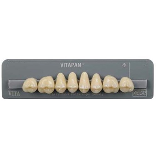 Upper   D2 40C Cuspiform