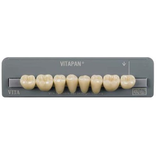 Lower   D4 40C Cuspiform