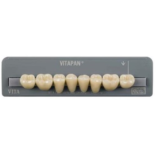 Lower   D4 40C Cuspiform