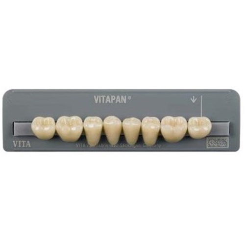 Lower   D4 43C Cuspiform