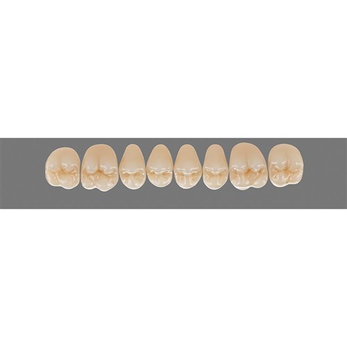 Vita Physiodens 3D Classic Upper, Posterior, Shade A3.5, Mould 21E