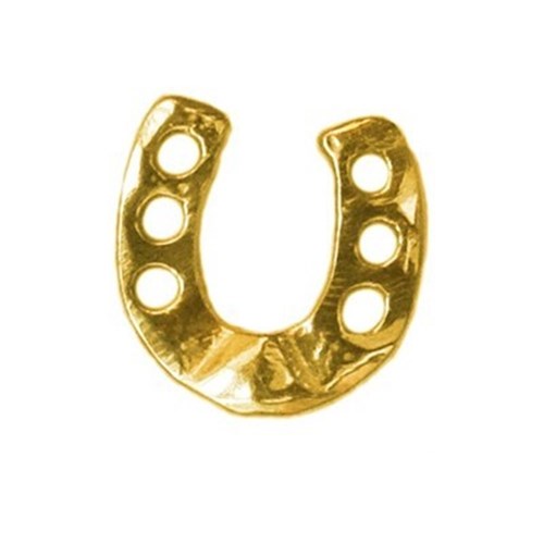 Twinkles - Tooth Jewellery - Horseshoe - Gold 22k