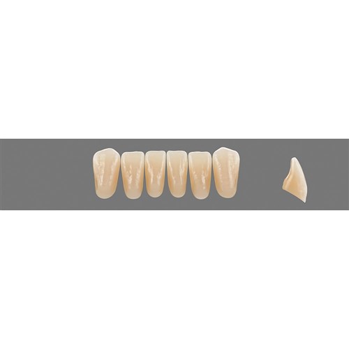 Vita Vitapan EXCELL Classical, Lower, Anterior, Shade A3, Mould L35