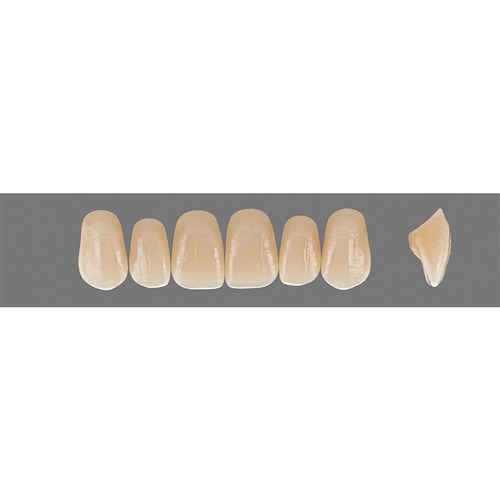 Vita Vitapan EXCELL Classical, Upper, Anterior, Shade A4, Mould O49