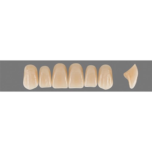 Vita Vitapan EXCELL Classical, Upper, Anterior, Shade A4, Mould R49