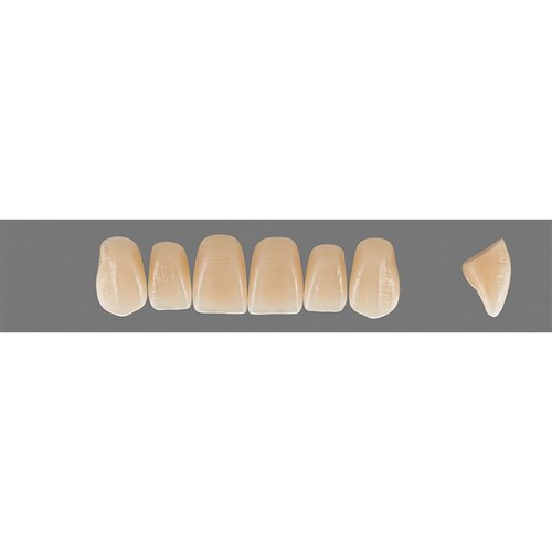 Vita Vitapan EXCELL Classical, Upper, Anterior, Shade A4, Mould S46