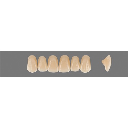 Vita Vitapan EXCELL Classical, Upper, Anterior, Shade A4, Mould T42