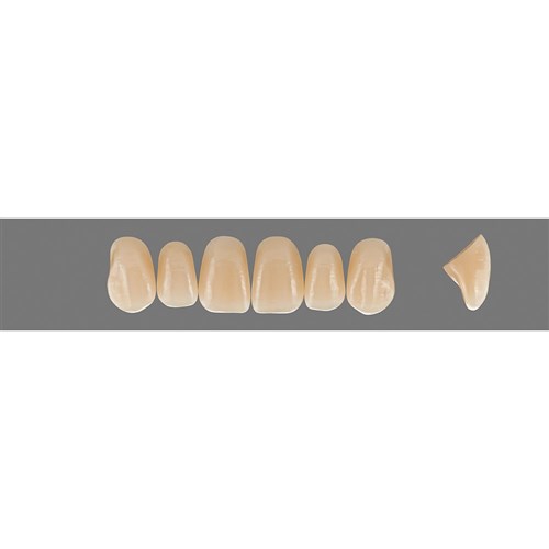 Vita Vitapan EXCELL Classical, Upper, Anterior, Shade A4, Mould T44