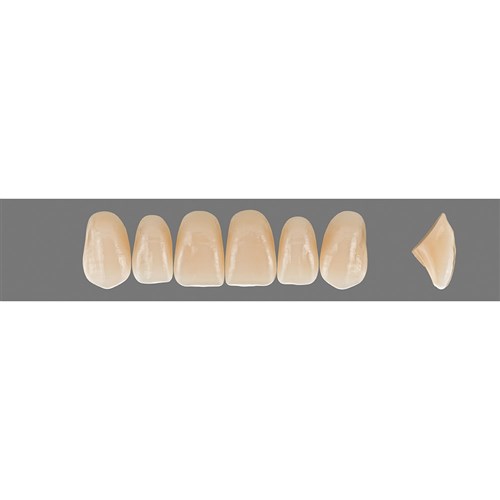 Vita Vitapan EXCELL Classical, Upper, Anterior, Shade A4, Mould T48