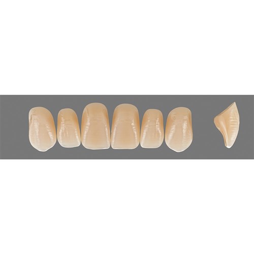 Vita Vitapan EXCELL Classical, Upper, Anterior, Shade A4, Mould T54