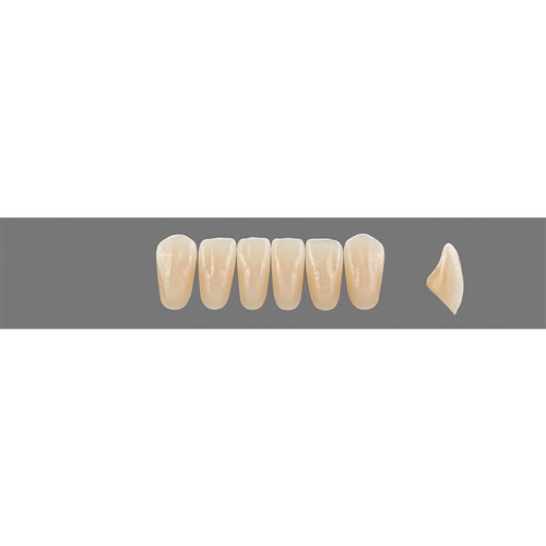 Vita Vitapan EXCELL Classical, Lower, Anterior, Shade B2, Mould L33