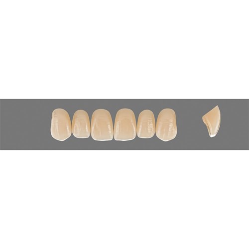 Vita Vitapan EXCELL Classical, Upper, Anterior, Shade B2, Mould O43