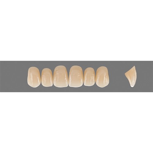 Vita Vitapan EXCELL Classical, Upper, Anterior, Shade B2, Mould O45
