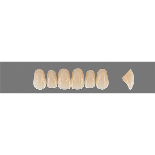 C2 Upper O41 Anterior