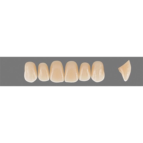 C2 Upper O47 Anterior