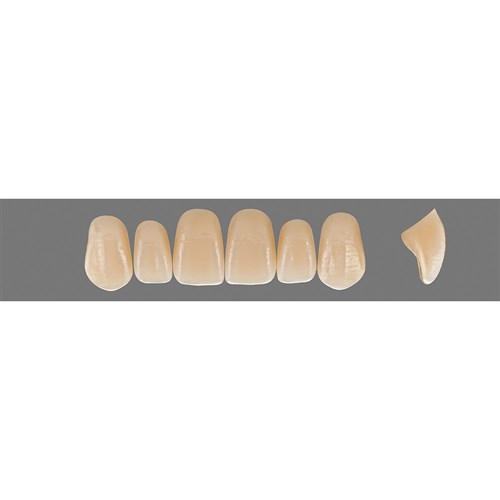 D4 Upper R47 Anterior