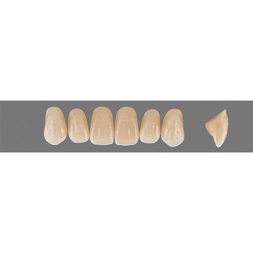 D4 Upper T46 Anterior